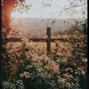 Meet your Posher, Joellyn